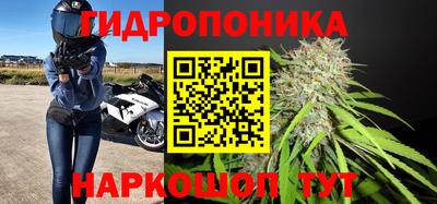 мдпв Ливны