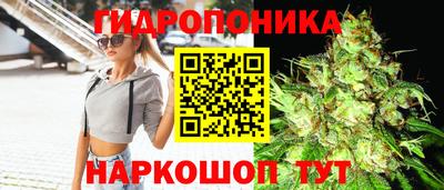 мдпв Ливны